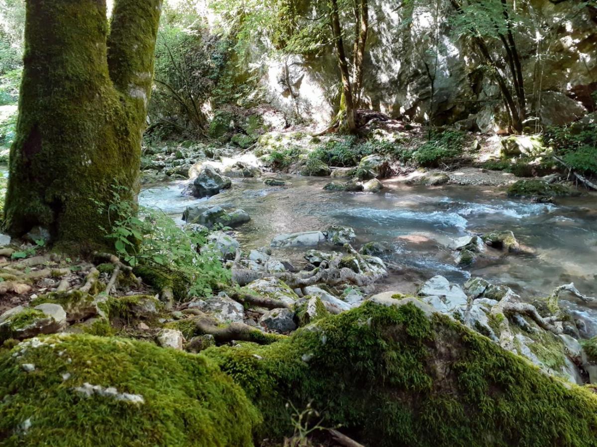 Casetta Nel Borgo Olevano Romano Exteriör bild