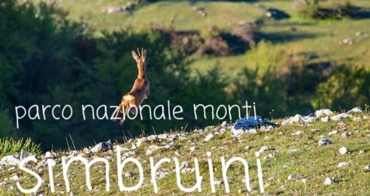 Casetta Nel Borgo Olevano Romano Exteriör bild