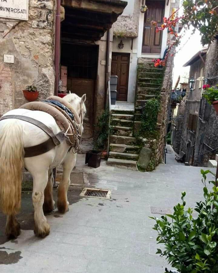 Casetta Nel Borgo Olevano Romano Exteriör bild