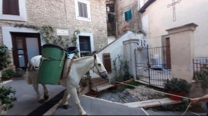 Casetta Nel Borgo Olevano Romano Exteriör bild