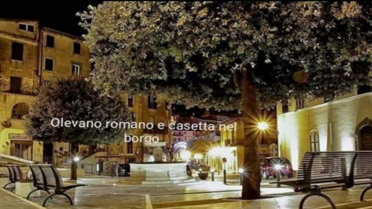 Casetta Nel Borgo Olevano Romano Exteriör bild